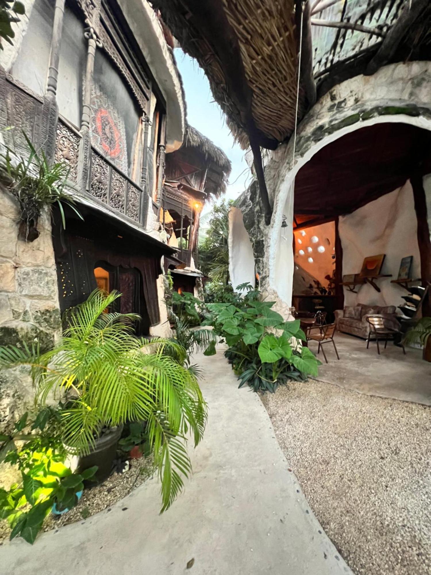 푸에르토 모렐로스 La Quinta Orquidea B&B 외부 사진