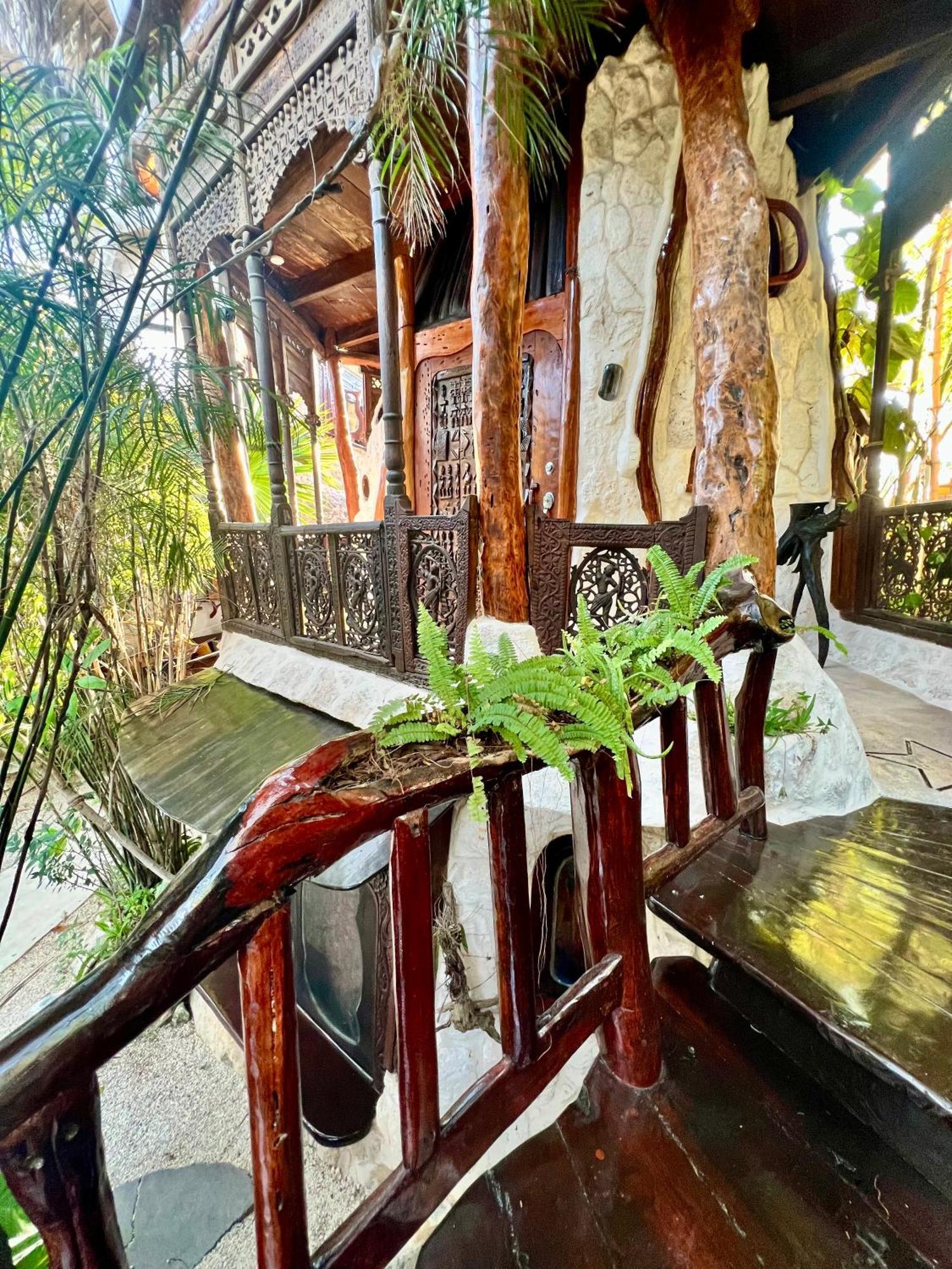 푸에르토 모렐로스 La Quinta Orquidea B&B 외부 사진