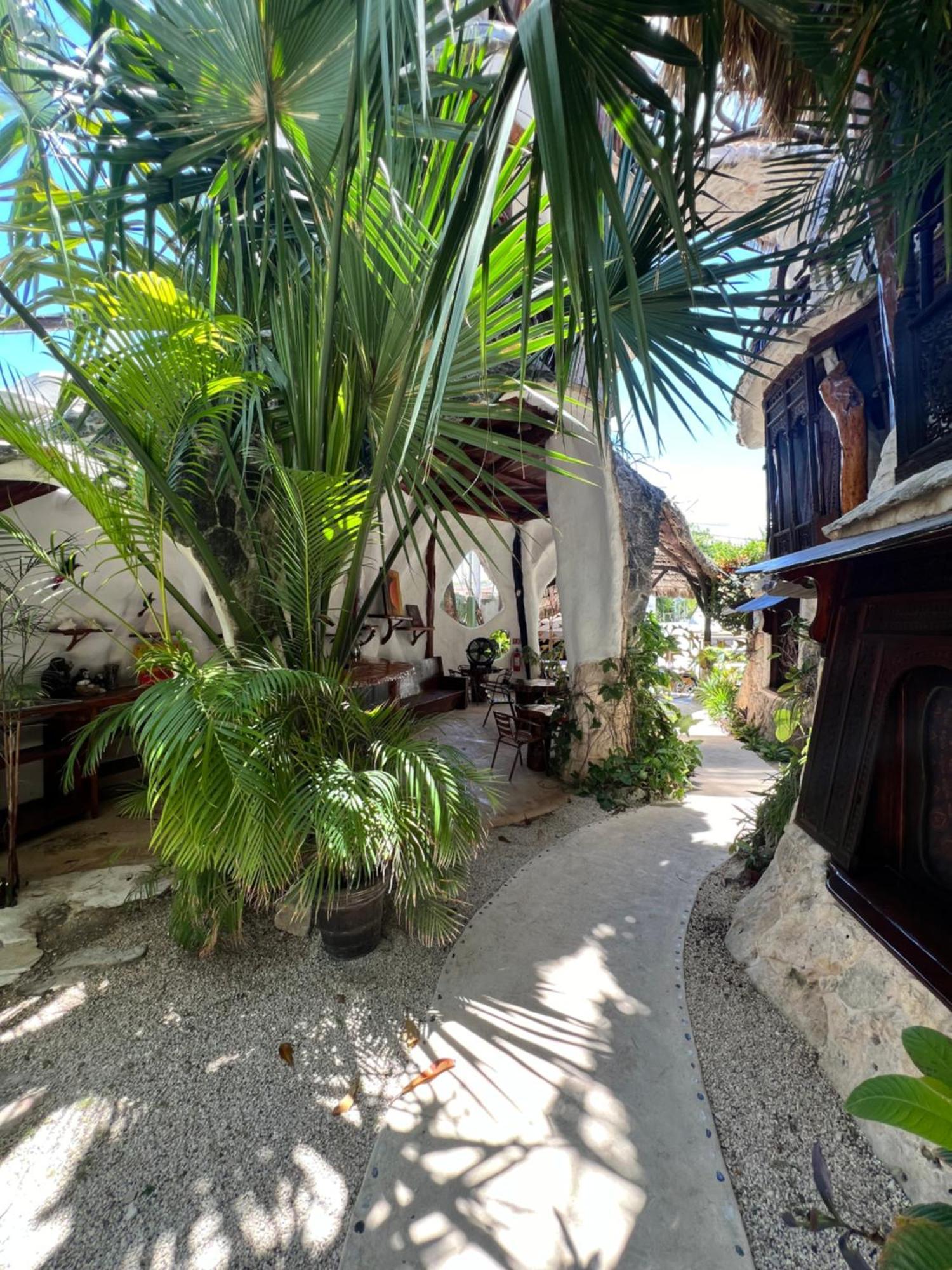 푸에르토 모렐로스 La Quinta Orquidea B&B 외부 사진