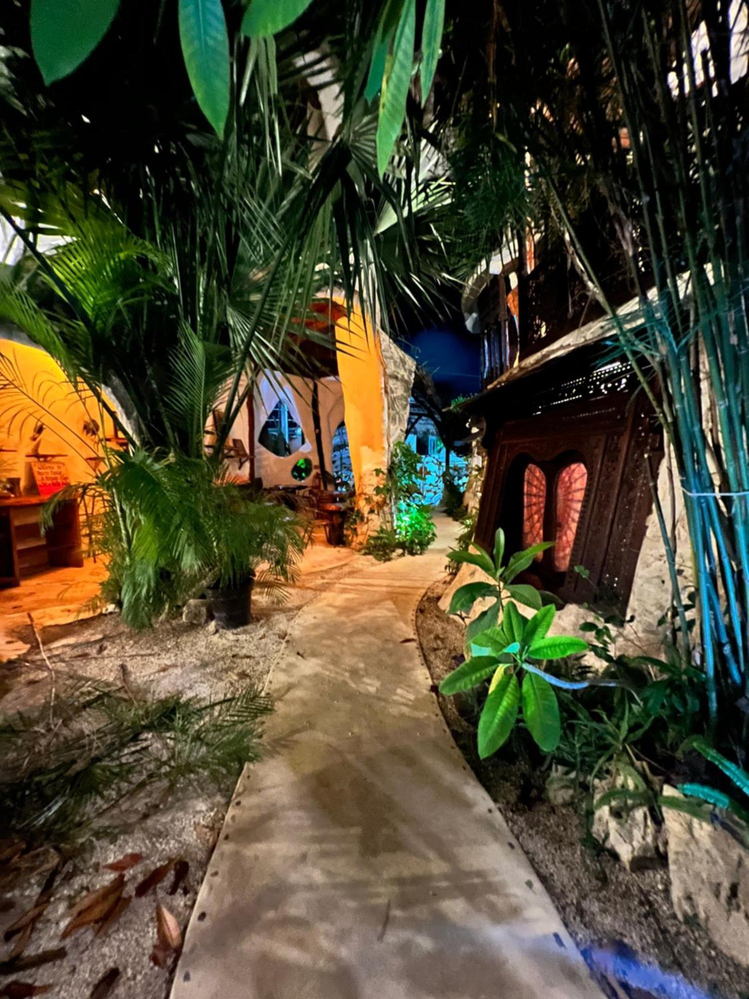 푸에르토 모렐로스 La Quinta Orquidea B&B 외부 사진