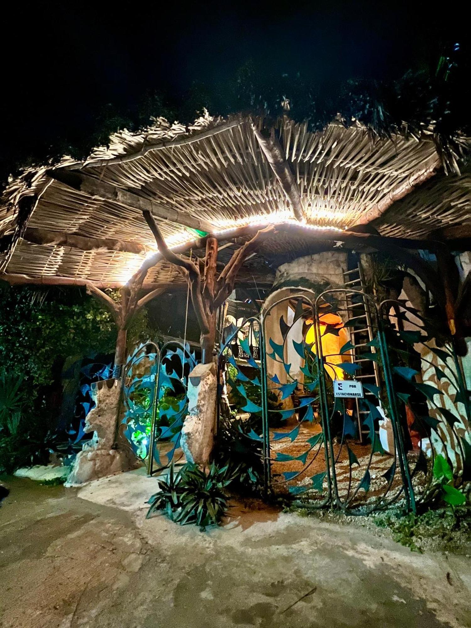 푸에르토 모렐로스 La Quinta Orquidea B&B 외부 사진