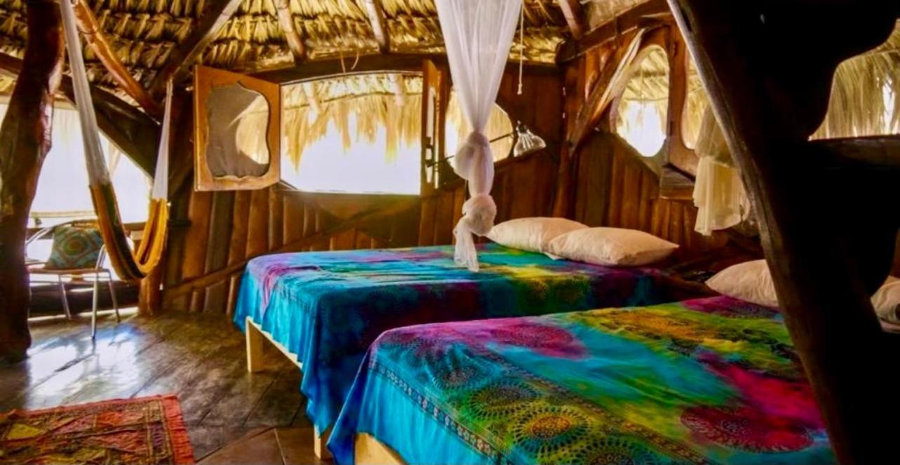 푸에르토 모렐로스 La Quinta Orquidea B&B 외부 사진
