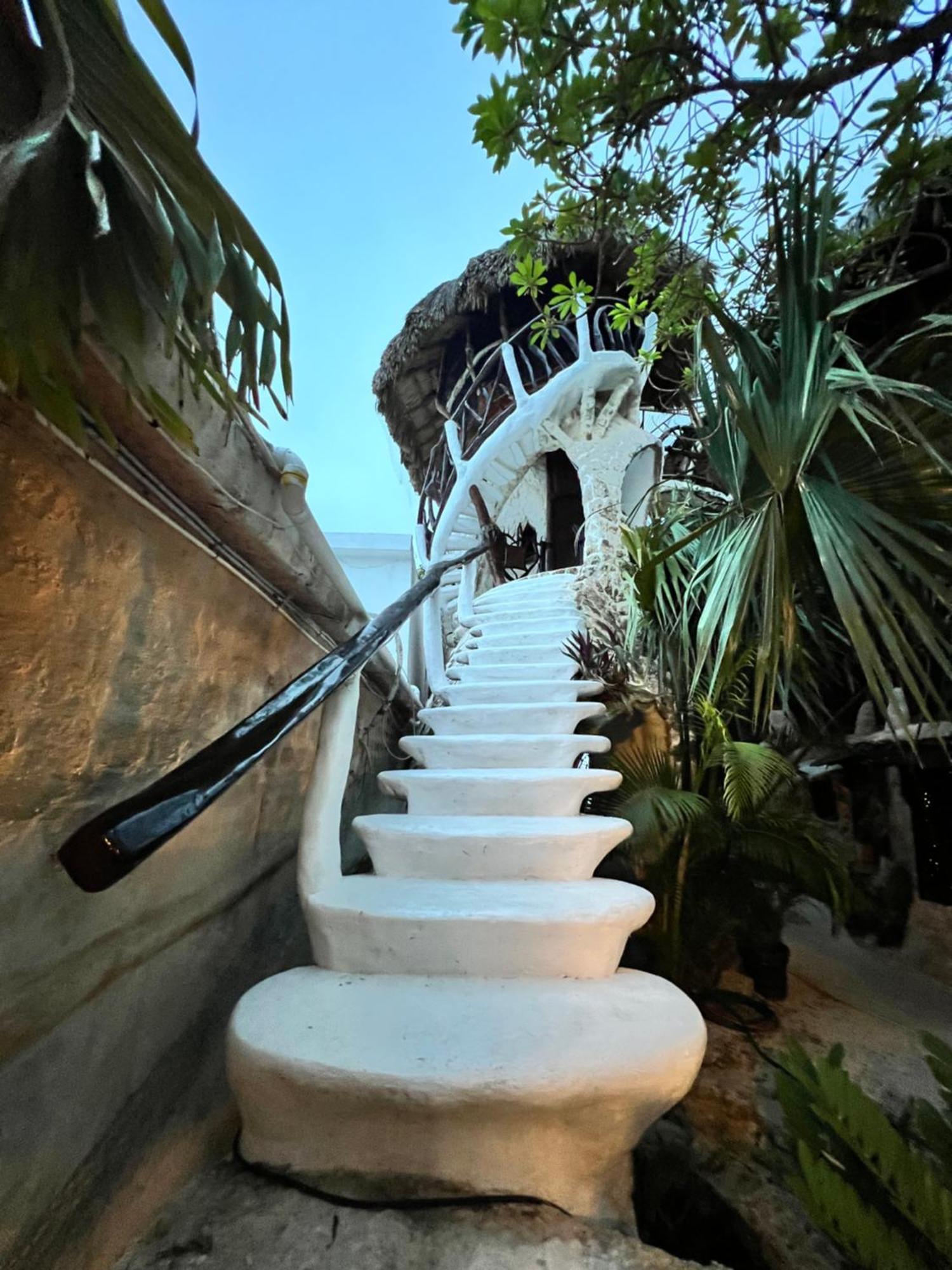푸에르토 모렐로스 La Quinta Orquidea B&B 외부 사진