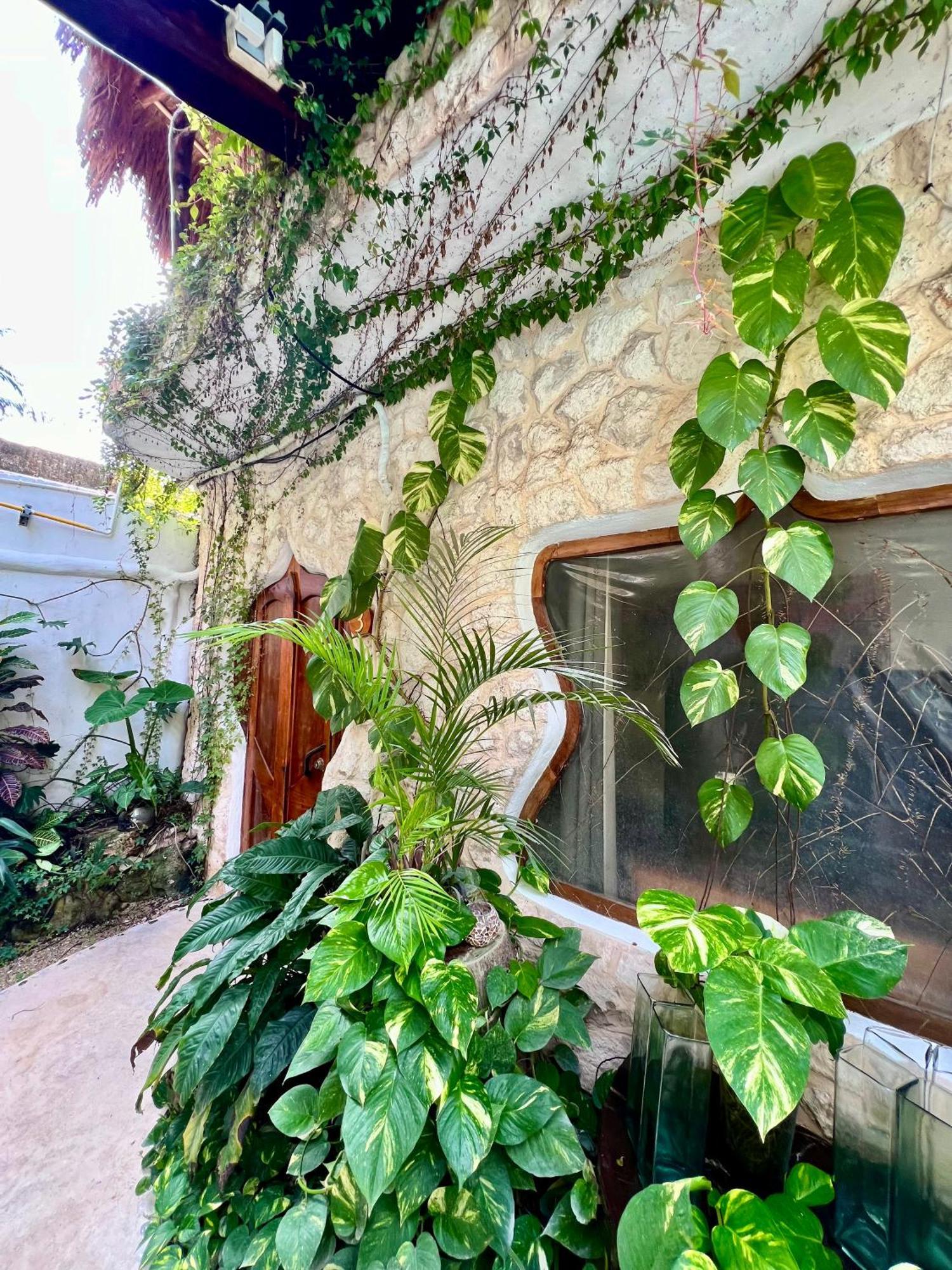 푸에르토 모렐로스 La Quinta Orquidea B&B 외부 사진